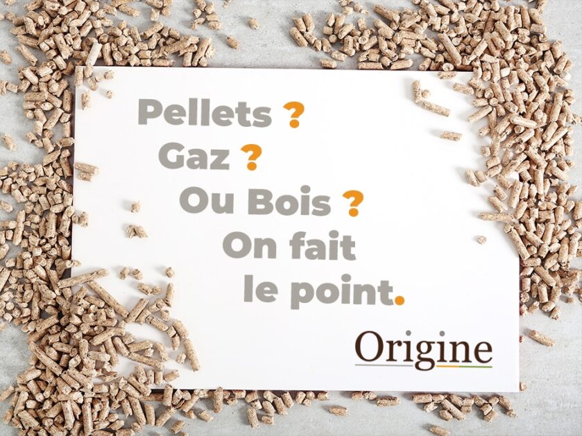 Gaz, bois, pellets : que faut-il choisir pour son poêle ou sa cheminée ? 🪵